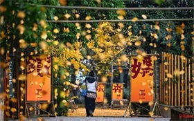 京城租房“小阳春”量升价稳